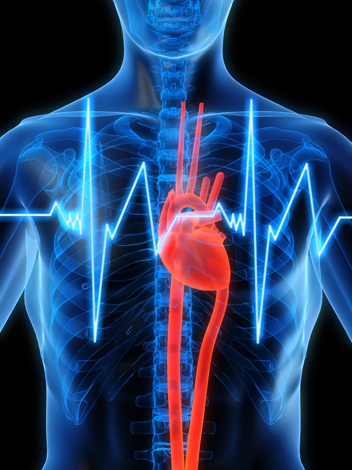Kardiologas sako, kad širdies ir kraujagyslių sveikatos problemas atitolinti padeda sveika gyvensena. <br>123rf iliustr.