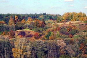 12 idėjų darganotiems rudens vakarams Anykščiuose