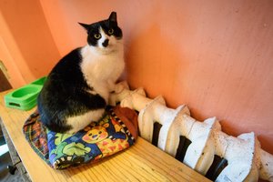 Vilniuje prasideda šildymo sezonas