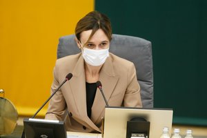 V. Čmilytė-Nielsen: tikslas Partnerystės įstatymą Seimui pateikti rudens sesijoje – išlieka