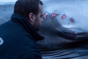 „Nepatogus kinas“: už filmus ne mažiau svarbu tai, kas vyksta po jų