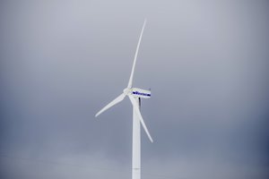 Jurbarko rajone liepsnojo vėjo jagainė: ant žemės krito degančios jos dalys