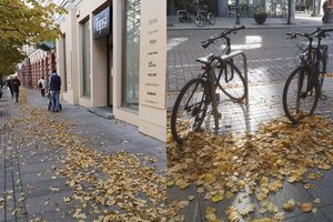 Vilniaus gyventojai stebisi tvarka miesto centre: ar nepamiršta grėbti lapų?