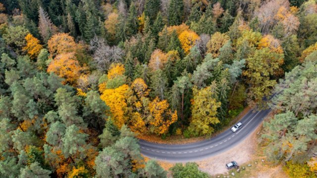 Sinoptikai: lietaus nesulauksime, žvarbus vėjas šiek tiek nurims