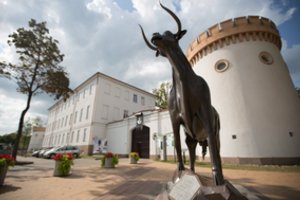 Išrinktos 2023, 2024 ir 2025 metų Lietuvos kultūros sostinės