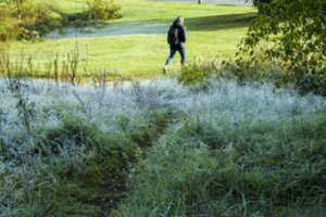 Sinoptikai: dienomis lepins auksinis ruduo, bet naktimis vis smarkiau kandžiosis šalnos 