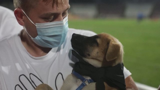 Rumunijos futbolininkai susivienijo: į aikštę atsinešė šuniukus, ragindami juos priglausti