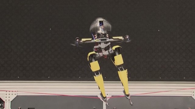 Susipažinkite su Leo: pagamintas naujo tipo robotas, pasižymintis išskirtiniais sugebėjimais