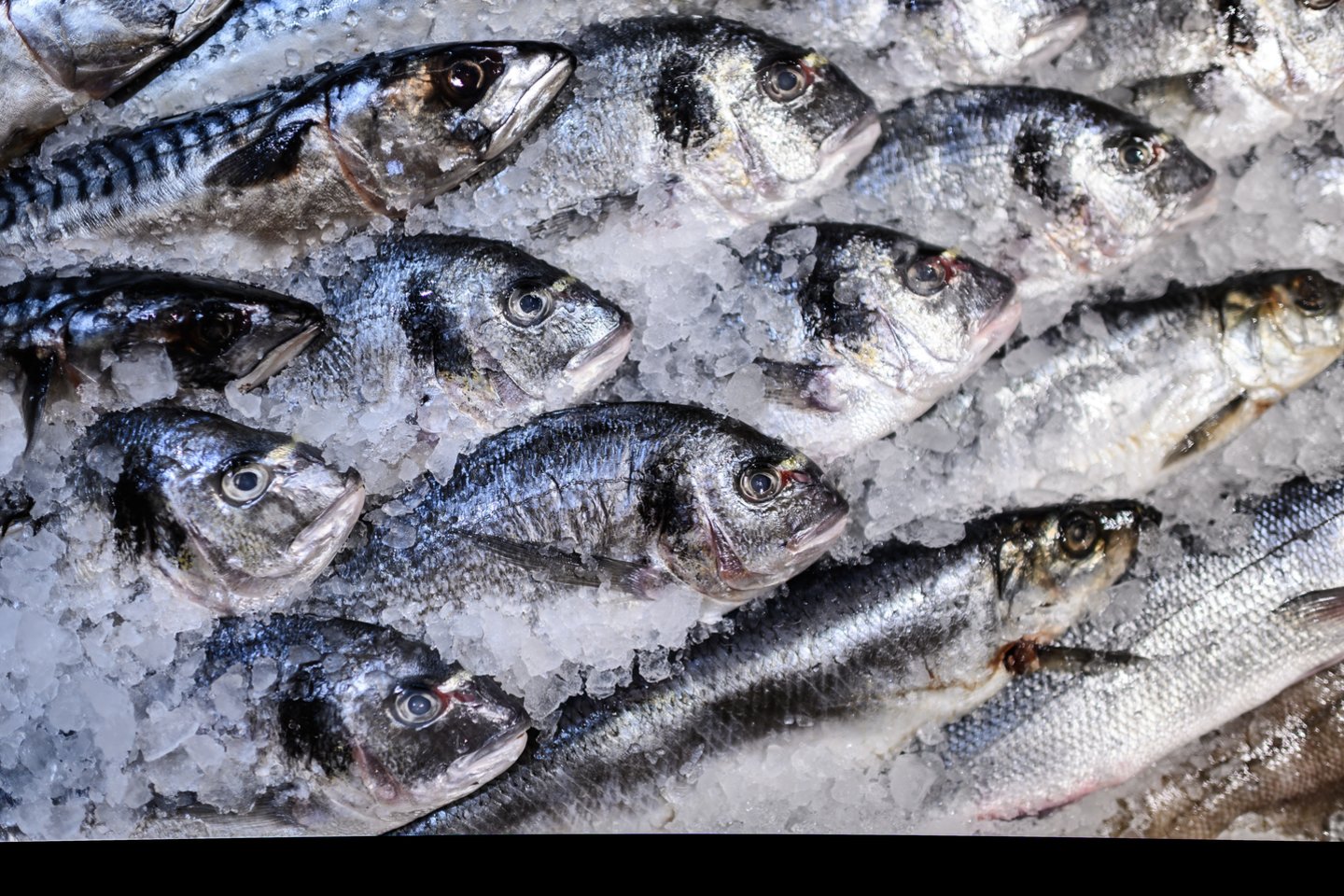 Nors Lietuvos vandenyse​ knibžda žuvys, tačiau nemaža dalis laimikio eksportuojama.<br>V.Skaraičio nuotr.