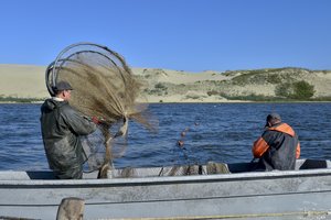 Neradę klientų lietuvišką žuvį pigiai parduoda užsienyje: žvejai ir verslininkai pasiryžę tai pakeisti