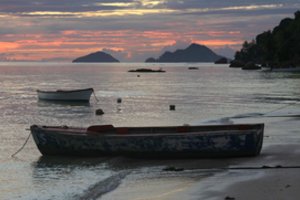 29 paras jūroje praleidę vyrai išgyveno valgydami apelsinus ir kokosus