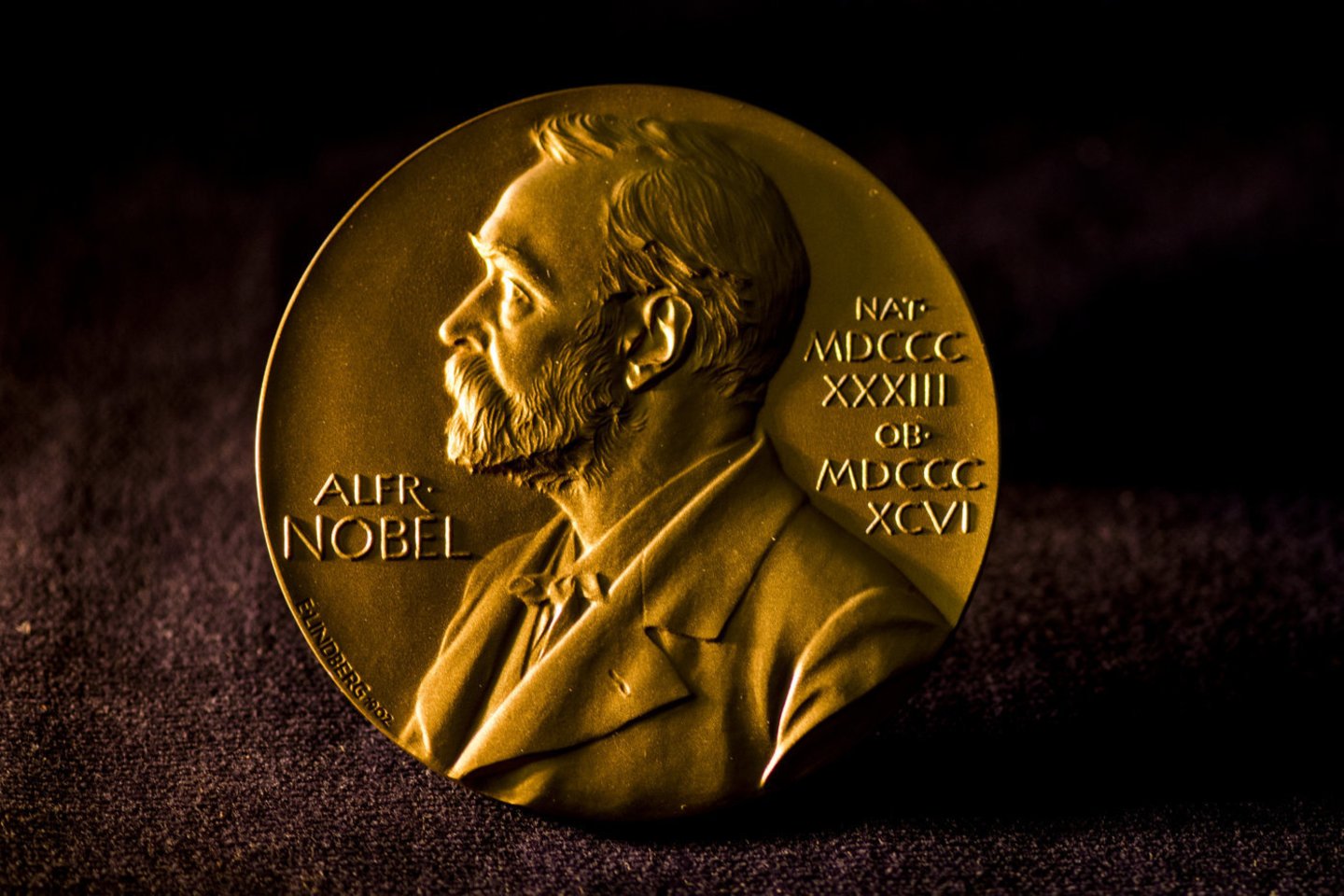 Nobelio premijos medalis.<br>nobelprize.org nuotr.