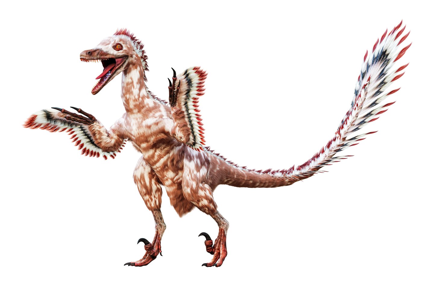 Daugeliui tai turbūt neįprastas vaizdas, bet būtent taip ar labai panašiai atrodė tikrieji Velociraptor mongoliensis – garsieji velociraptoriai iš filmo „Juros periodo parko“.<br> 123rf nuotr.