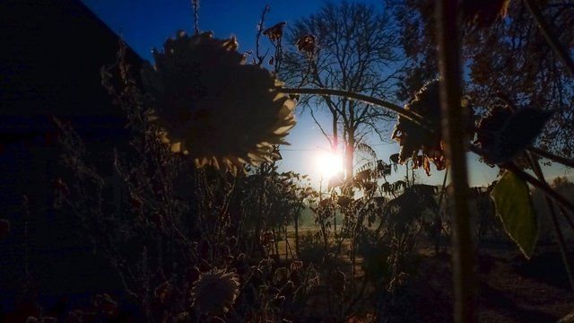 Sinoptikai žada saulėtą, bet žvarbų savaitgalį: temperatūra kilti neskubės