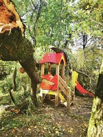 Pamoka dėl kiekvieno nupjauto medžio besiskundžiantiems kauniečiams: kraupios nelaimės išvengta vos per plauką