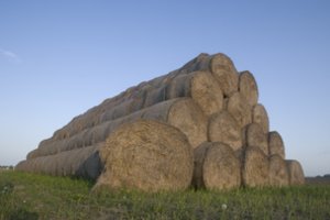 Ugniagesiams teko skubėti gesinti greta Šilutės buvusius 800 šieno rulonų – įtariamas padegimas