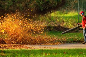 Kaip lengvai atsikratyti lapų ir džiaugtis tvarkingu kiemu?