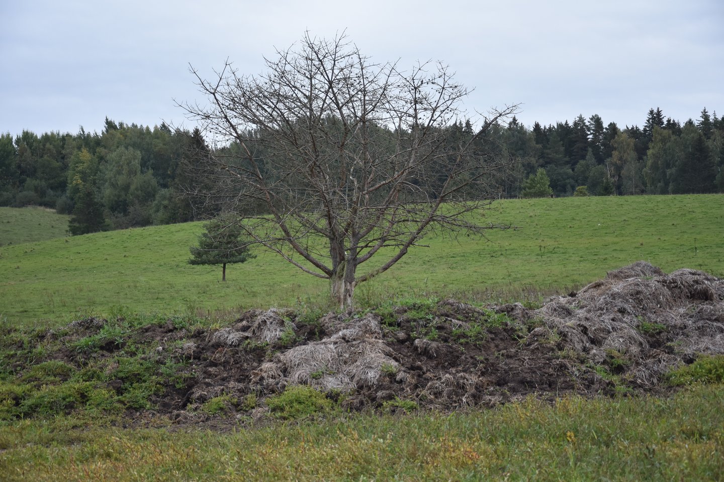 V.Šližys prieš aštuonerius metus ūkininkauti pradėjo gimtinėje netoli Anykščių. <br> A.Srėbalienės nuotr.