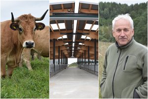 Ūkininkas paaiškino, kuo skiriasi 33 ir 23 eurus kainuojantys kepsniai – pravartu žinoti ir valdžiai 