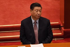 Xi Jinpingas: Kinija kurs biologinės įvairovės fondą besivystančioms šalims