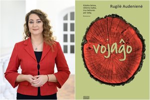 L. Dovydėno premija už geriausią lietuvišką romaną skirta debiutantei