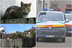 Tiriant šeimos tragediją, paaiškėjo neįtikėtinos detalės: katinas išgelbėjo tris mirusios kaunietės vaikus