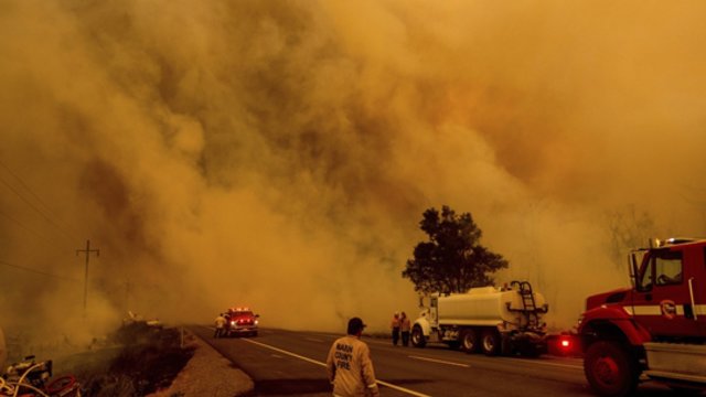 Kalifornijos miškus niokoja ugnis: grėsmė kyla pastatams ir fermoms