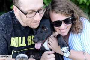 Į gatvę išmesta juoda kalytė pakeitė poros gyvenimą: šeimos nare tapo greičiau negu per pusvalandį