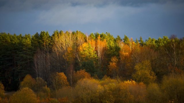 Sinoptikai praneša: lietaus nenumatoma, protarpiais džiugins saulės spinduliai