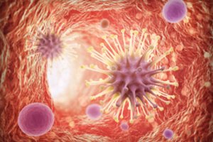 Mokslininkai perspėja: šių gyvūnų fermos gali tapti virusų rezervuarais