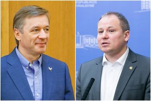 R. Karbauskis apie G. Surplio kandidatūra LVŽS pirmininko rinkimuose: „Tai tikrai yra demokratijos šventė“