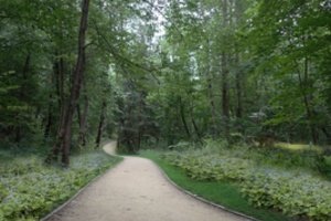 Sostinės pakraštys keisis neatpažįstamai: šeimos su vaikais tai netruks įvertinti