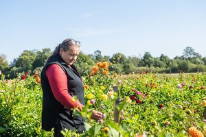 Jurginų karaliene vadinama Virginija laimę išbandė tarptautiniame konkurse: prizų nelaimėjo, tačiau nusiminti neskuba
