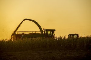 Klimatologas praneša, kokių orų tikėtis kitą savaitę: jau greitai sugrįš šalnos