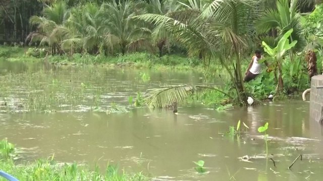 Pietų Indijoje per liūtis ir potvynius žuvo mažiausiai 15 žmonių, dar 12 dingo