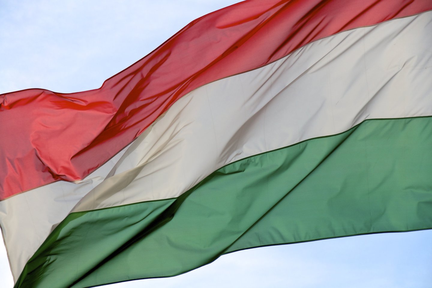  Vengrijos vėliava.<br> 123rf.com nuotr.