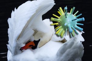 Prakalbo apie užfiksuotą neįprastą gripo atvejį