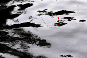 Aplinkosaugininkai tikrino Vilniaus žvejus: nustatė tris pažeidėjus