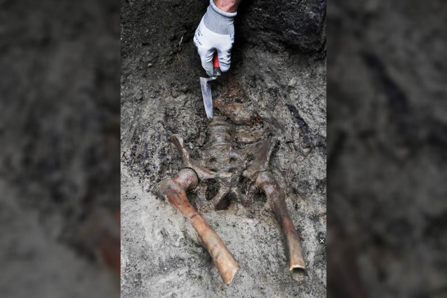  Šis skeletas yra pirmoji per šį amžiaus ketvirtį rasta Vezuvijaus auka.<br> ANSA nuotr.