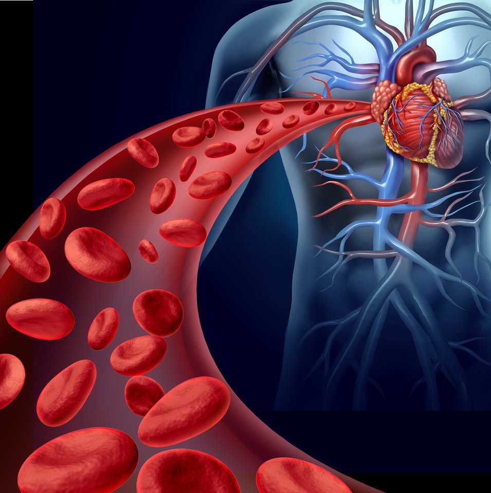 Širdies ir kraujagyslių ligos, cholesterolis.<br>123rf iliustr.