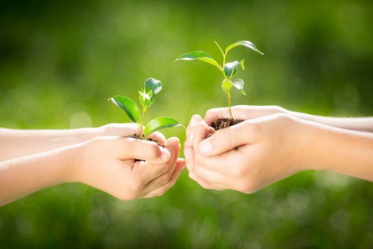 Ekologiška produkcija – bilietas į užsienio rinkas