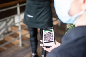 Grupė parlamentarų kreipėsi į Konstitucinį Teismą dėl galimybių paso