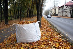 Įspėja saugotis rudens pavojų keliuose: šlapi lapai – lyg ledas žiemą