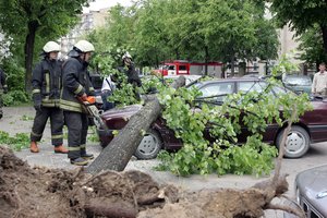 Ragina išlikti budriems: keliuose gali būti nuvirtusių medžių ar nukritusių šakų