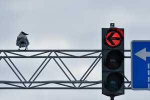 Šviesoforo išradimo istorija: viskas prasidėjo nuo dramatiškos nelaimės