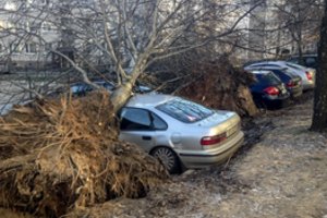 Perspėja visus vairuotojus: audros metu padarę šią klaidą galite patirti elektros smūgį