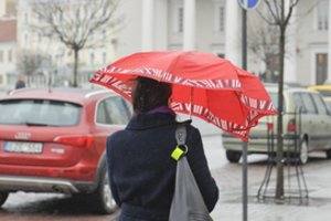 Sinoptikai praneša, koks savaitgalis laukia