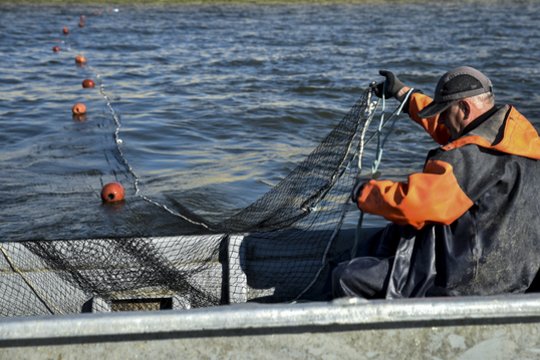 Žvejai ruošiasi dar vienam galingam smūgiui: „Gyvensime blogiau, nei gyvenome“