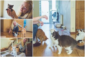 Auksinės širdies Ingos namuose – būrys pūkuotų šeimos narių su liūdnomis istorijomis: yra ir kalėdinis stebuklas