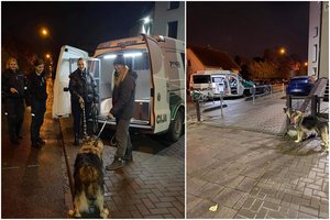 Tarnybų operacija Panevėžyje: sulaikius moterį teko pasirūpinti agresyviu jos šunimi